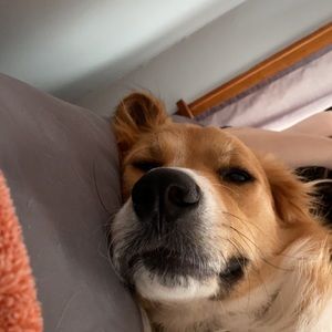 Meet your Posher, Carly